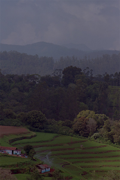 Nilgiri Hills, Ooty