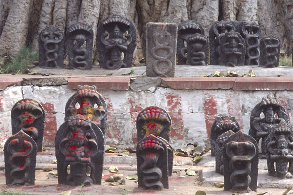 shrine at ghats