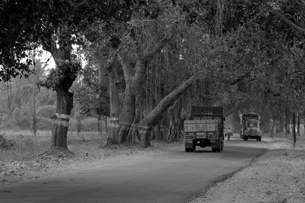 roadside scene