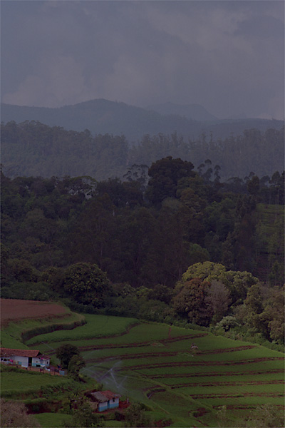 Nilgiri Hills