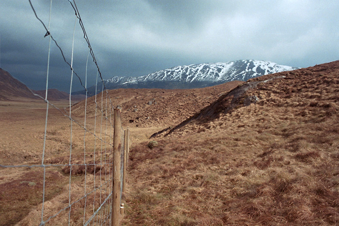 deer fence, upper Glen Affric