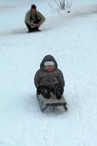 sledging