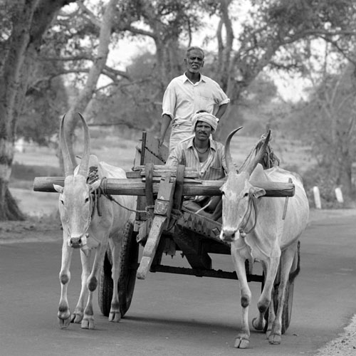 Indian traffic scene