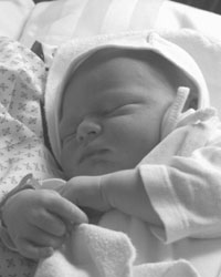 baby Jack