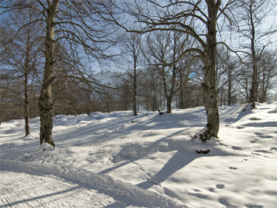 kranzberg landscape