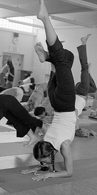 pincha mayurasana